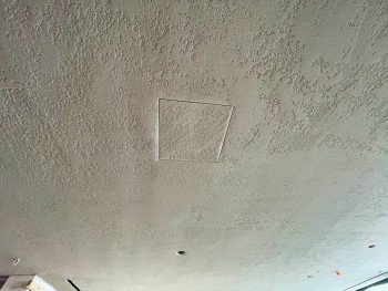 BASWA Ceiling Installed