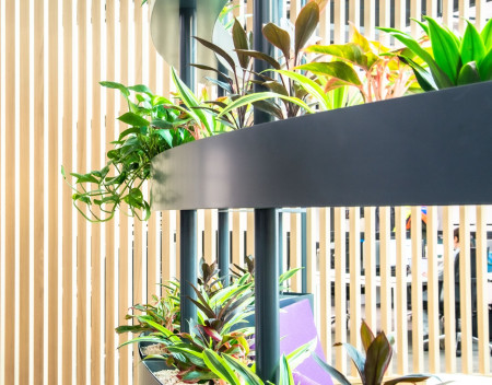 Rolls Royce RRMC Goodwood Chichester22 Large