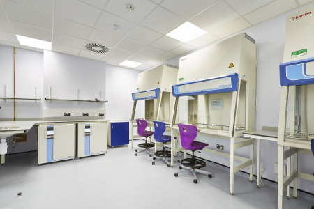 University of Southampton Southampton Centre for Cancer Immunology18