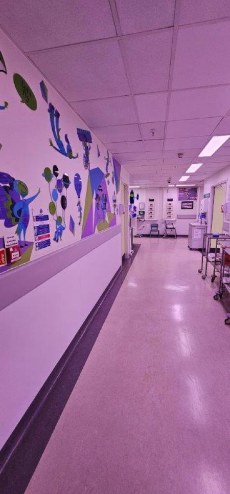 Chelsea Westminster3